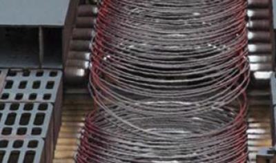 Cover image for COILS