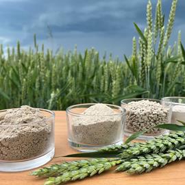 Cover image for Crushed limestone