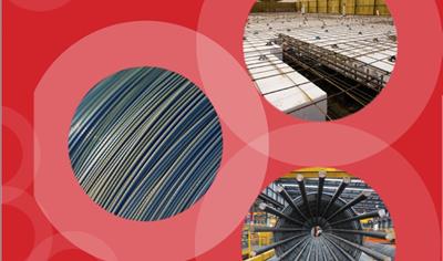 Cover image for Reinforcing Rod, Bar & Wire