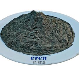Cover image for Fly Ash