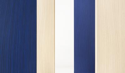 Cover image for ALPI READY