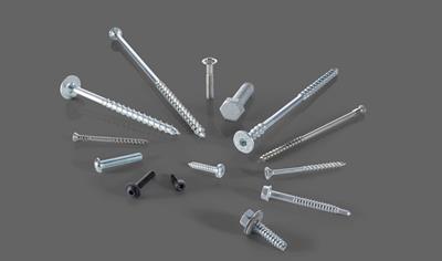 Cover image for Steel Screws