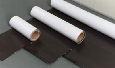 Cover image for DM Magnetic Films