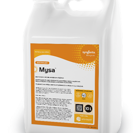 Cover image for MYSA
