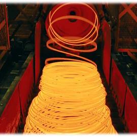 Cover image for Wire Rods