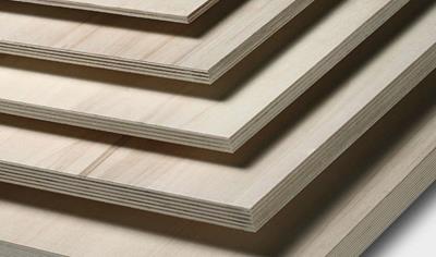 Cover image for VigoPlyL