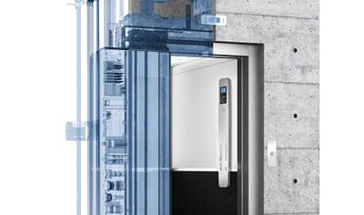 Cover image for evolution 100 | 200 | 300