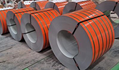 Cover image for Pre-Painted Galvanized Steel in Sheets & Coils