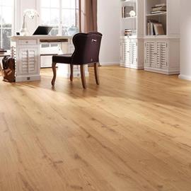 Cover image for PET FLOORING