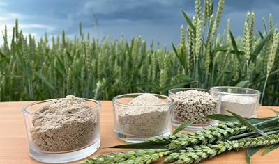 Cover image for Crushed limestone