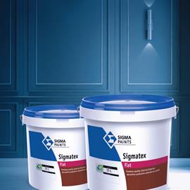 Cover image for Sigmatex 
