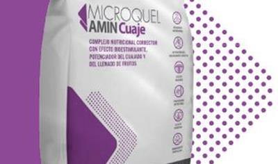 Cover image for Microquel Amin Cuaje