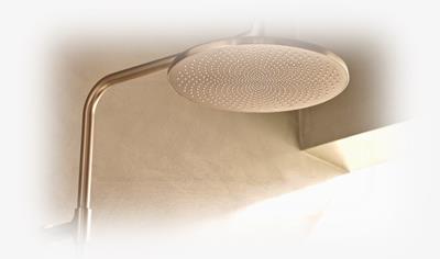 Cover image for Overhead shower