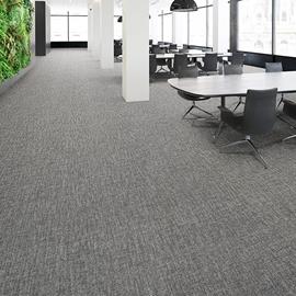 Cover image for Endure® Plus Broadloom Carpet