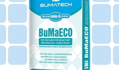 Cover image for BuMaECO