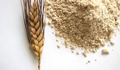 Cover image for Altograno