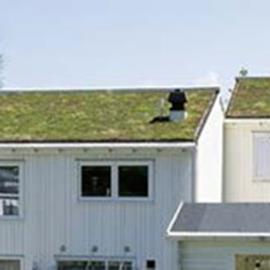 Cover image for Reinforced bitumen sheets for exposed roof waterproofing