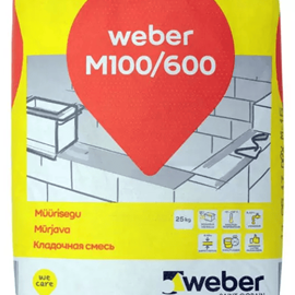 Cover image for weber M100/600