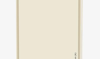 Cover image for Rigips® Standard  RS (A) 12,5 mm