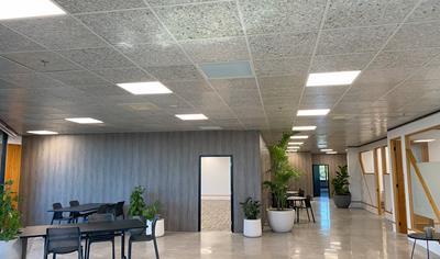 Cover image for Exposed Internal Lining & Ceiling Tiles 