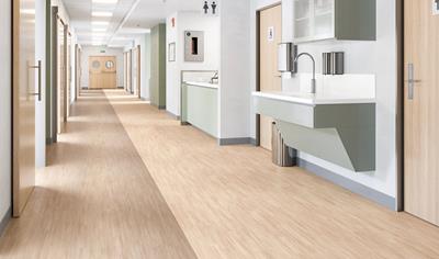 Cover image for Heterogeneous Resilient Sheet