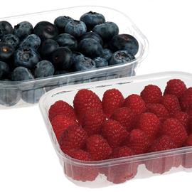 Cover image for Punnets for berries