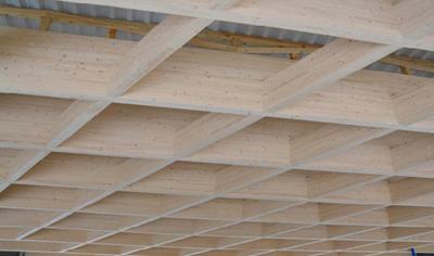 Cover image for Glued laminated timber