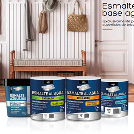 Cover image for ESMALTES EN BASE AGUA (Exclusivamente grandes superficies de bricolaje)