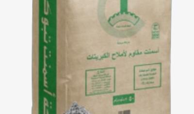 Cover image for Sulphate Resisting Cement