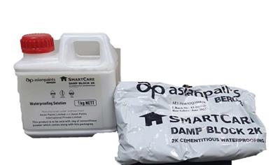 Cover image for SmartCare Damp Block 2K