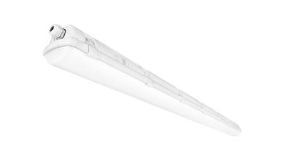 Cover image for Tornado