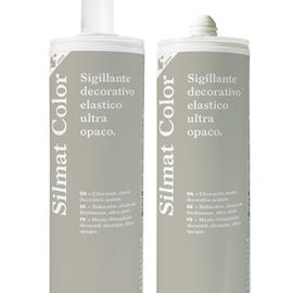 Cover image for Silmat Color