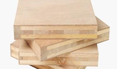 Cover image for DOOR BLANK