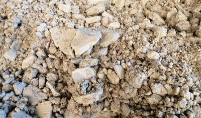 Cover image for Glassy sands 