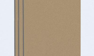 Cover image for ABS Maxtreme