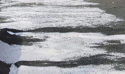 Cover image for Geodren® Regenerated products range