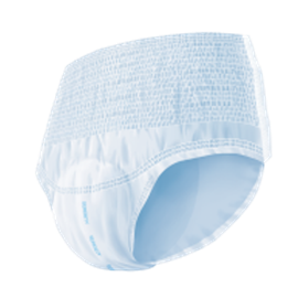 Cover image for Pants Briefs