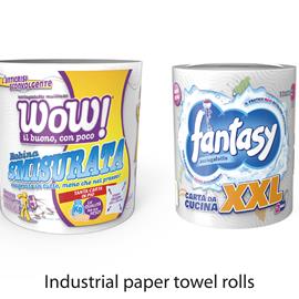 Cover image for Tissue-paper products for hygienic and domestic use