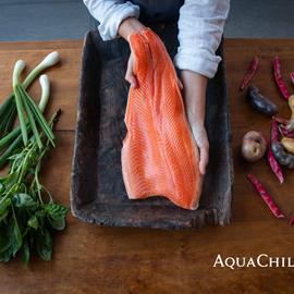 Cover image for Fish and fish products (Salmonids)