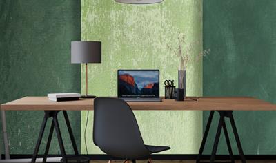Cover image for Vinyl wallcoverings on non-woven backing