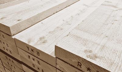 Cover image for Sawn spruce