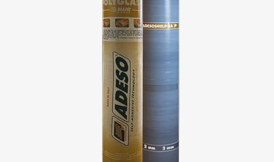 Cover image for Adesoshield SA P