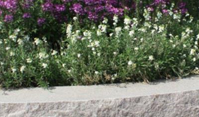 Cover image for Råkilade naturstensprodukter av granit