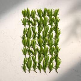 Cover image for Caesarstone  qaurtz models by Strategic partners