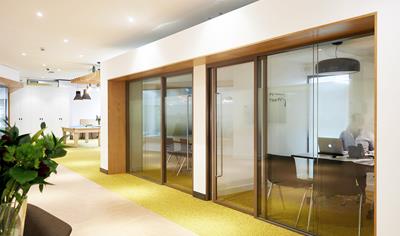 Cover image for Revolution 100 Partition System