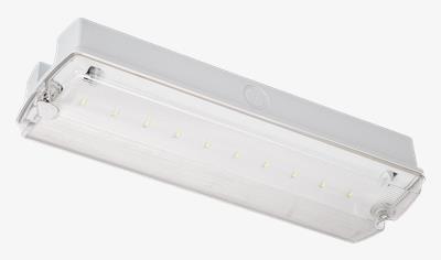 Cover image for Nebraska LiFe