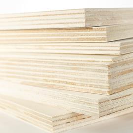 Cover image for Invernizzi Poplar Plywood