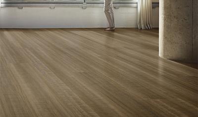Cover image for 2.5 mm LVT