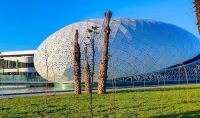 Cover image for BuildBond FR