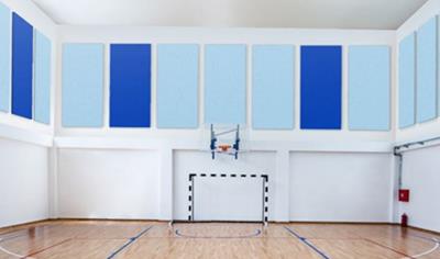 Cover image for Shush Impacta™